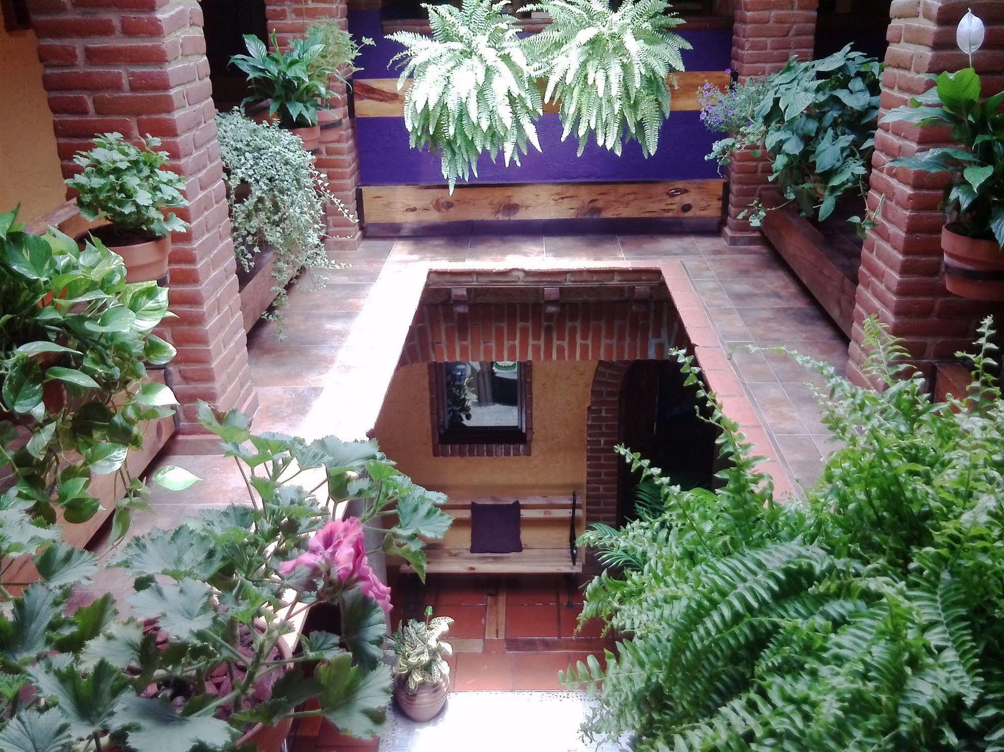 Mex Suites Casa Azul B&B Mexico City Exterior photo